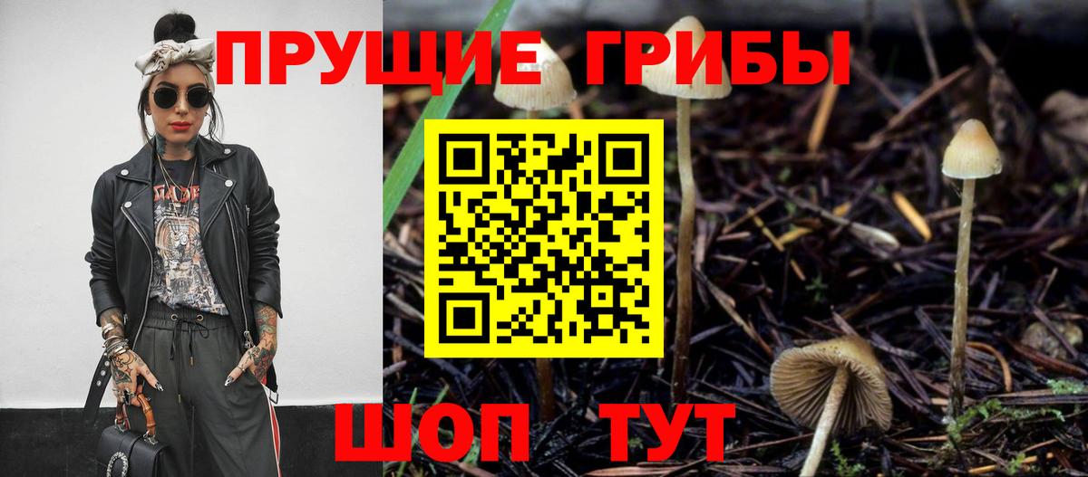 Урус-Мартан  Псилоцибиновые грибы мухоморы  Вход с VPN  Галлюциногенные грибы мухоморы 